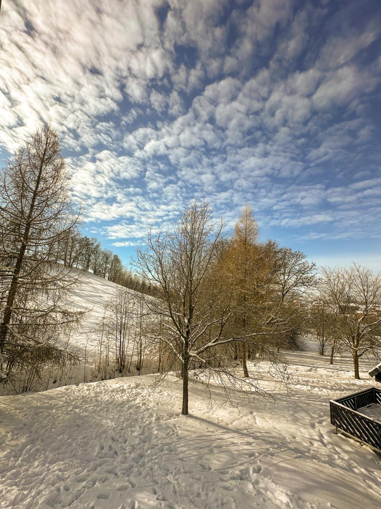 Ctyricitka Na Stastnem Kopci Chalet